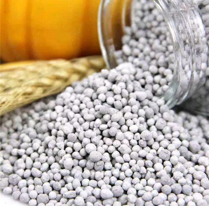 whatsapp image 2025 04 04 at 3.31.25 pm